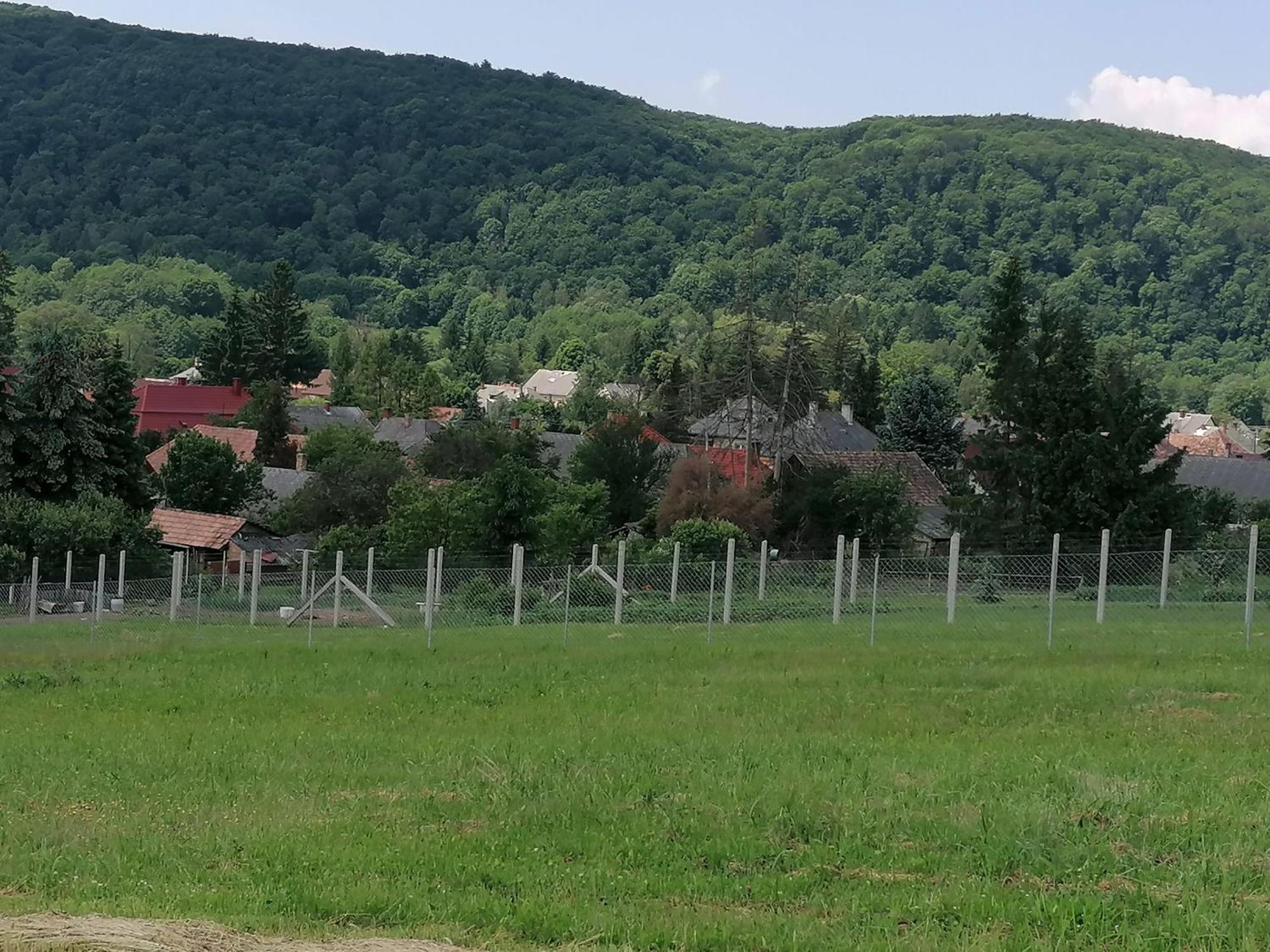 Borostyankut Wellness Home Bakonybél Exteriör bild