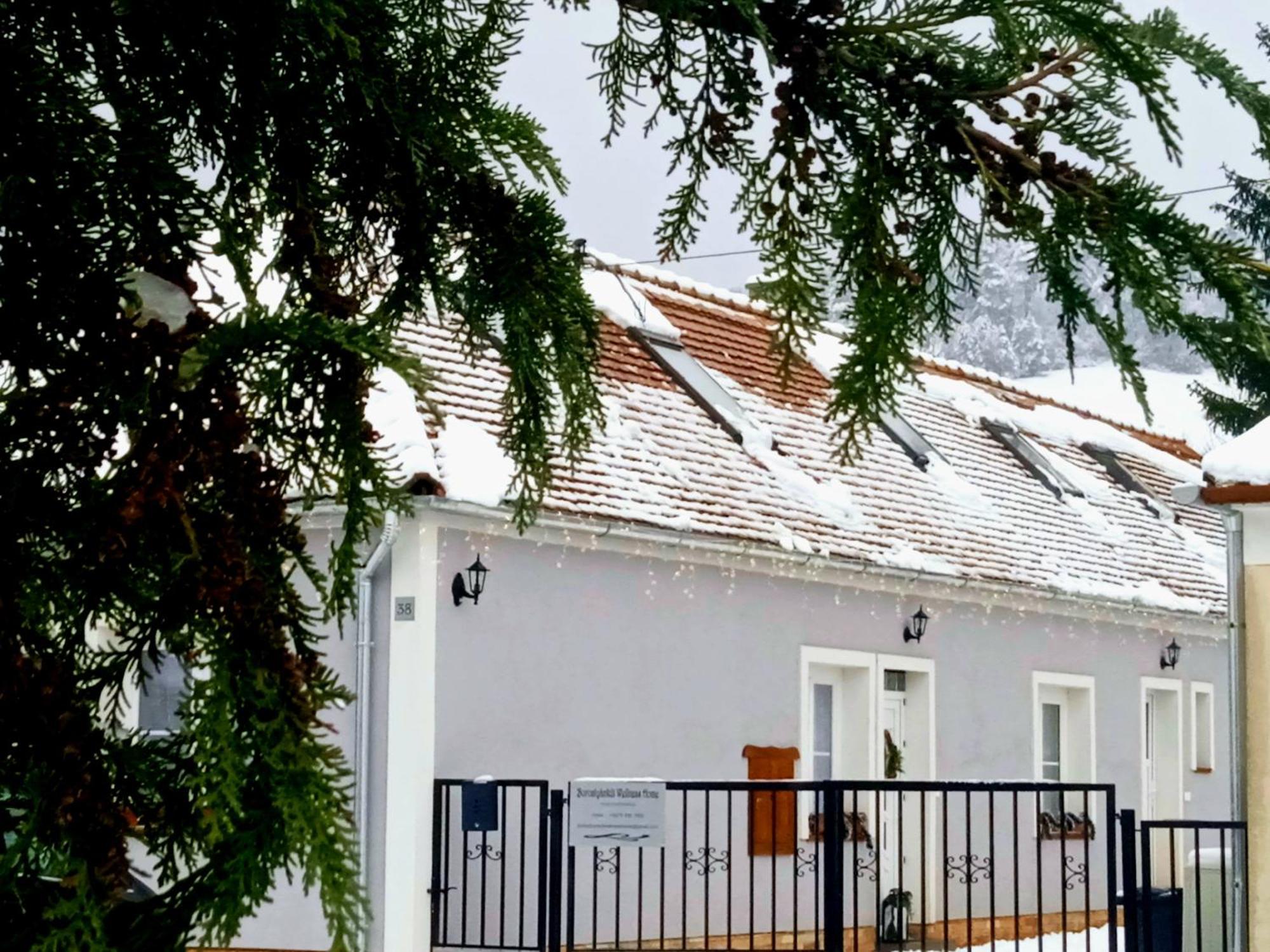 Borostyankut Wellness Home Bakonybél Exteriör bild